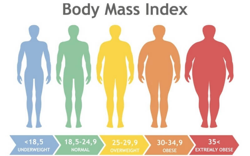 Mô hình thang đo tỉ số BMI như hệ thống Business Intelligence